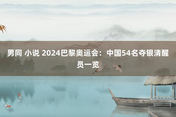 男同 小说 2024巴黎奥运会：中国54名夺银清醒员一览