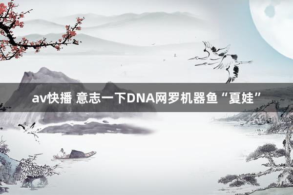 av快播 意志一下DNA网罗机器鱼“夏娃”