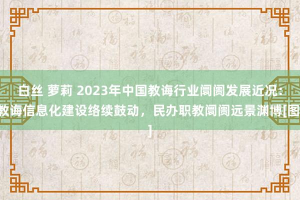 白丝 萝莉 2023年中国教诲行业阛阓发展近况：教诲信息化建设络续鼓动，民办职教阛阓远景渊博[图]