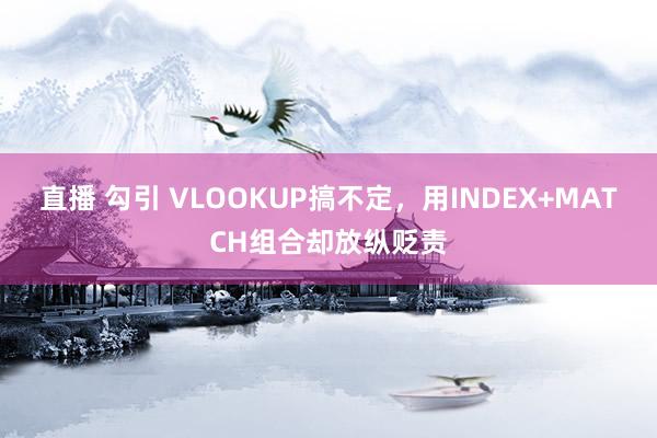 直播 勾引 VLOOKUP搞不定，用INDEX+MATCH组合却放纵贬责
