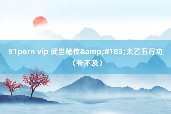 91porn vip 武当秘传&#183;太乙五行功（补不及）