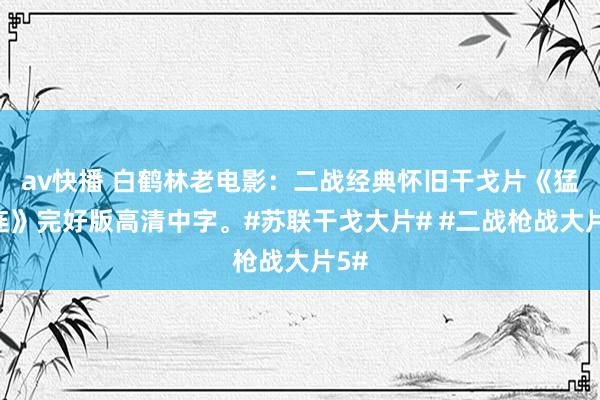 av快播 白鹤林老电影：二战经典怀旧干戈片《猛犬连》完好版高清中字。#苏联干戈大片# #二战枪战大片5#