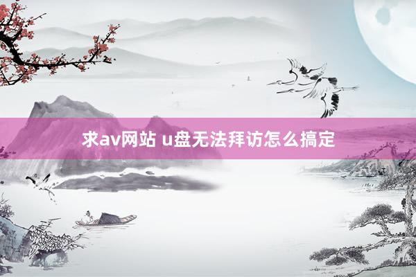 求av网站 u盘无法拜访怎么搞定