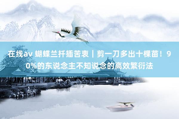 在线av 蝴蝶兰扦插苦衷｜剪一刀多出十棵苗！90%的东说念主不知说念的高效繁衍法