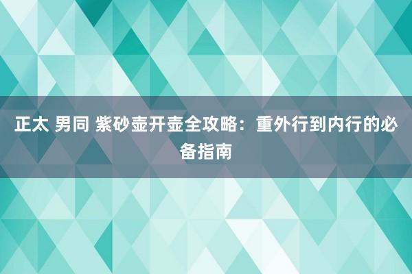 正太 男同 紫砂壶开壶全攻略：重外行到内行的必备指南