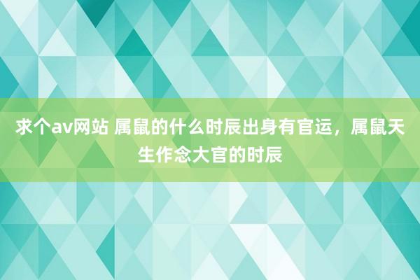 求个av网站 属鼠的什么时辰出身有官运，属鼠天生作念大官的时辰